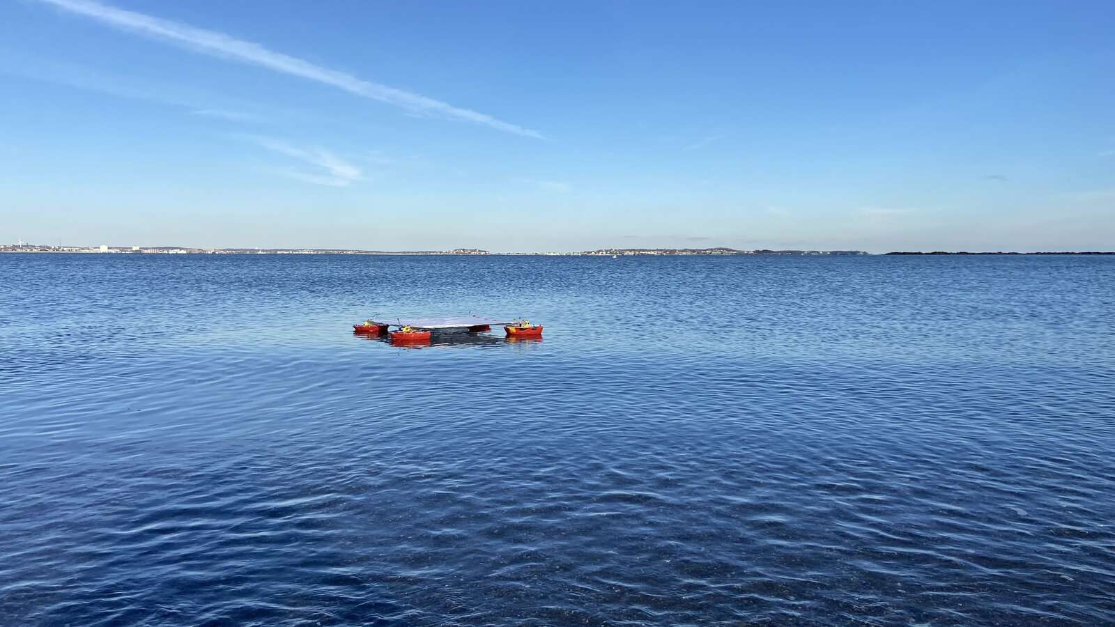 Wide view of kelp farm in the water