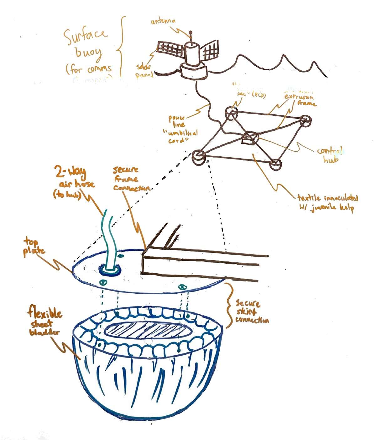 Drawings of the redesign