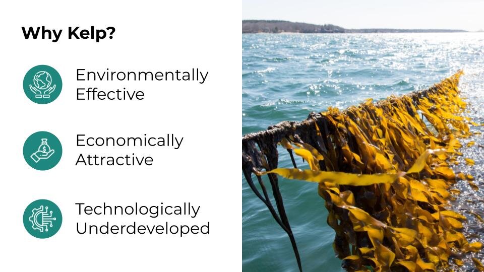 Why Kelp?